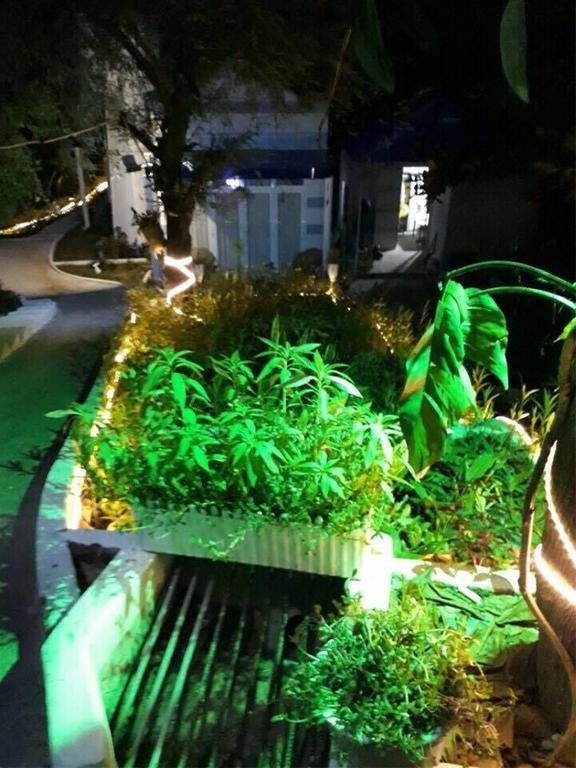 Nostress Guest House Mũi Né Kültér fotó